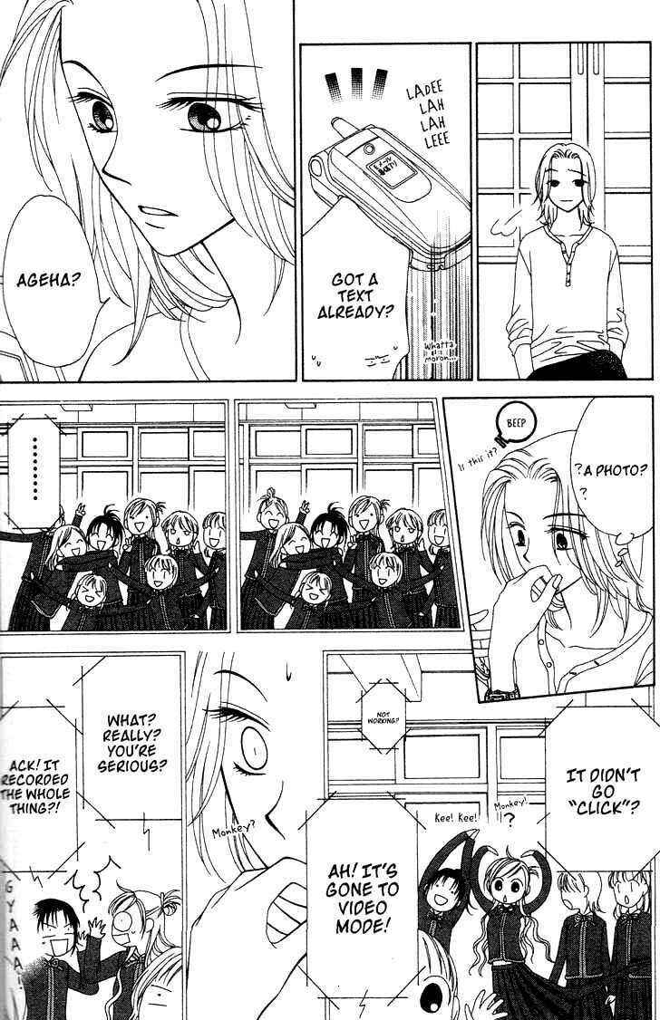 Page 25 Chapter 7 V.B. Rose