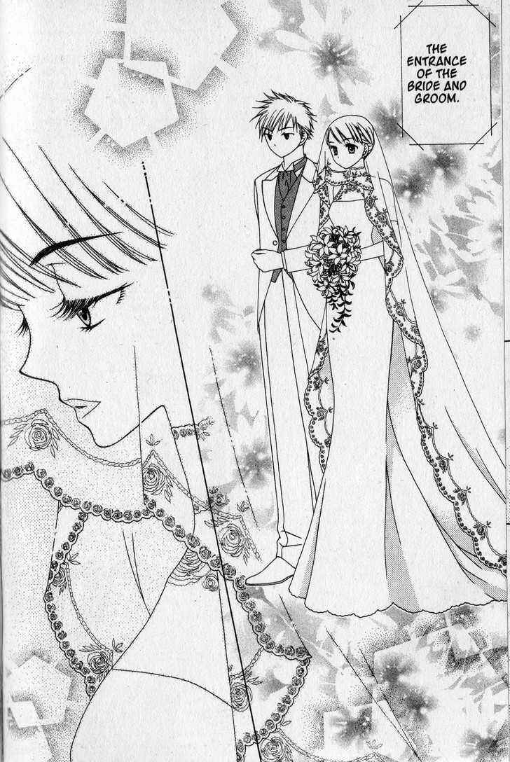Page 28 Chapter 19 V.B. Rose