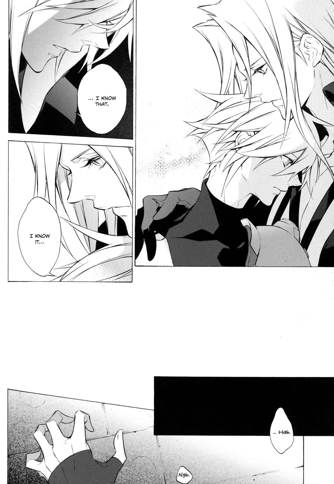 Page 29 Chapter Unknown_8163 Final Fantasy Dissidia 012 Duodecim - Ambivalenz (Doujinshi)