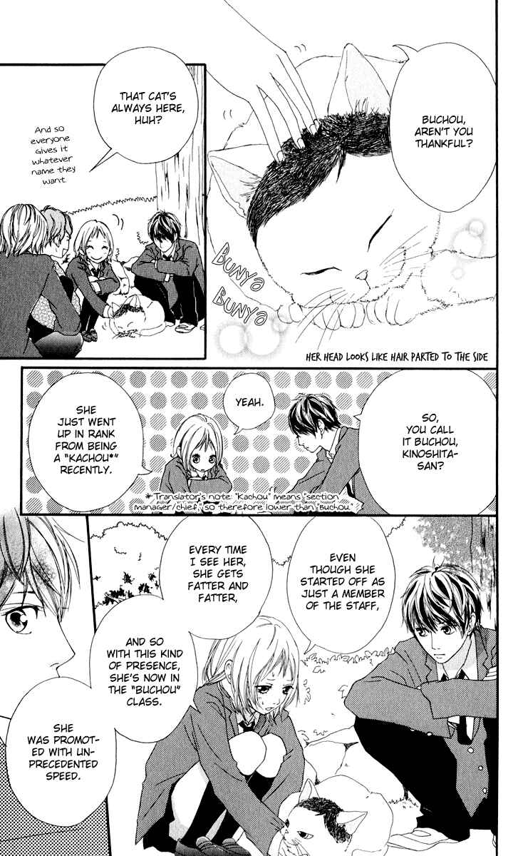 Page 11 Chapter 11 Strobe Edge