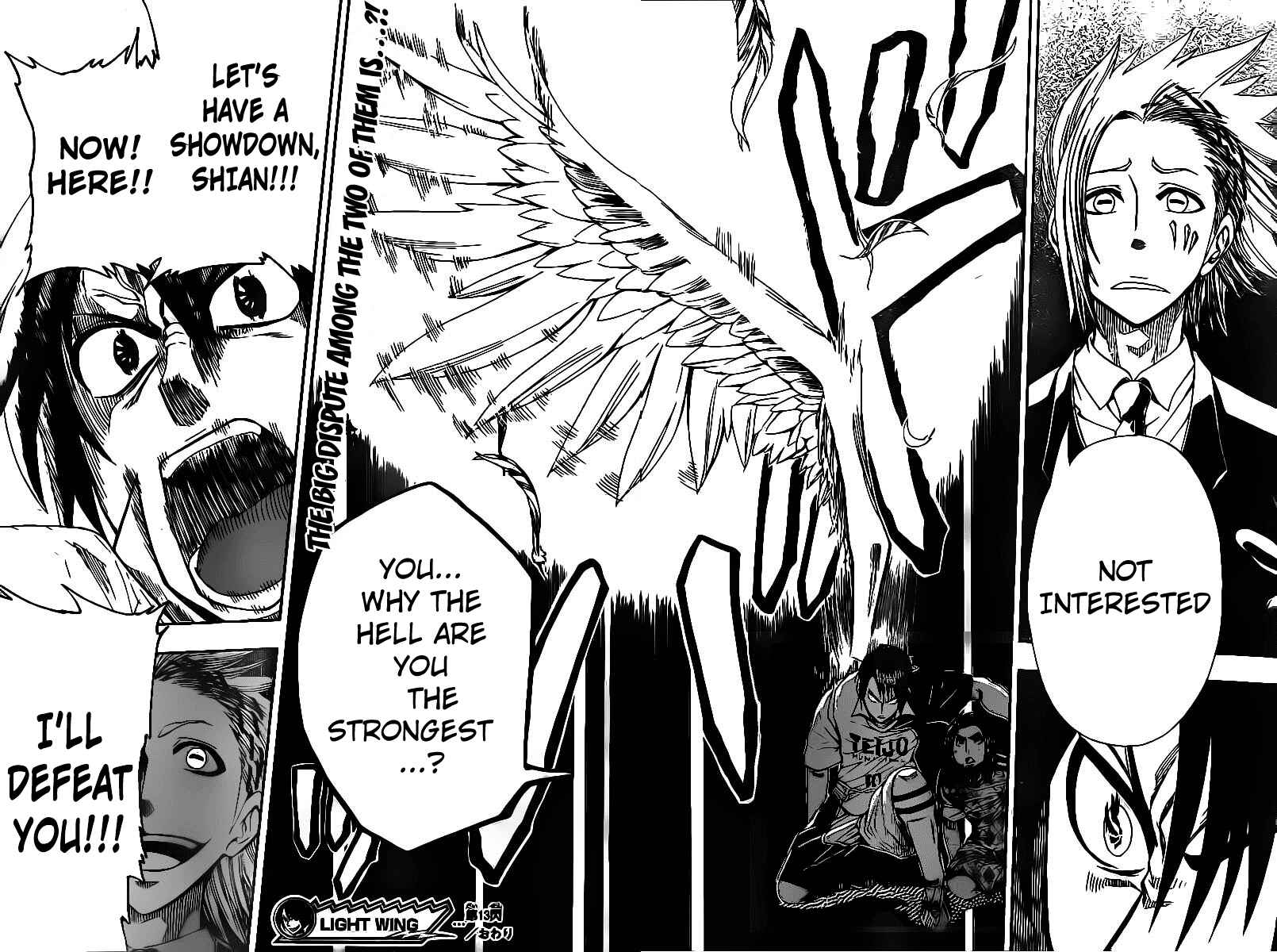 Page 18 Chapter 13 Light Wing