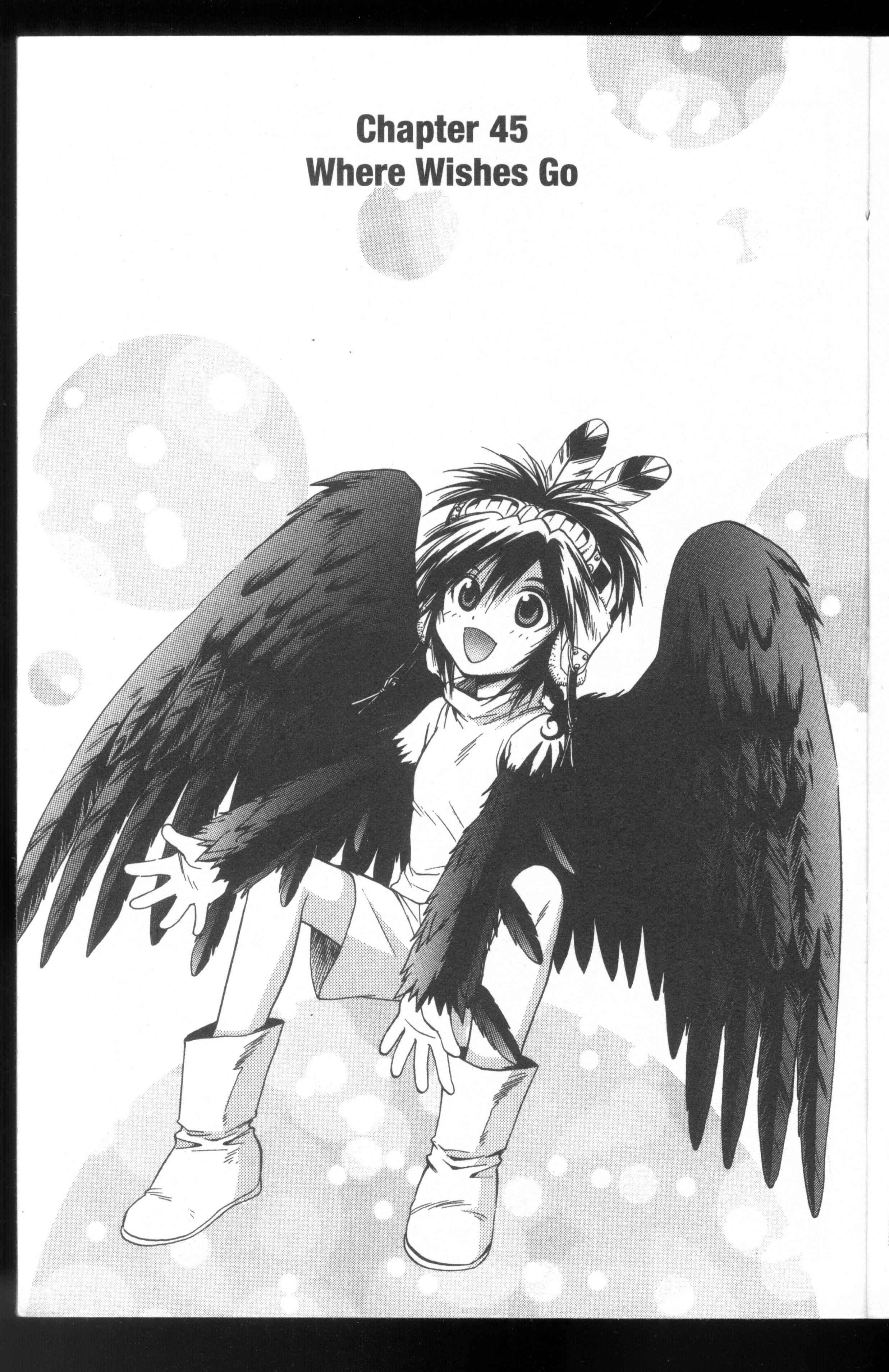 Page 10 Chapter 45 +Anima