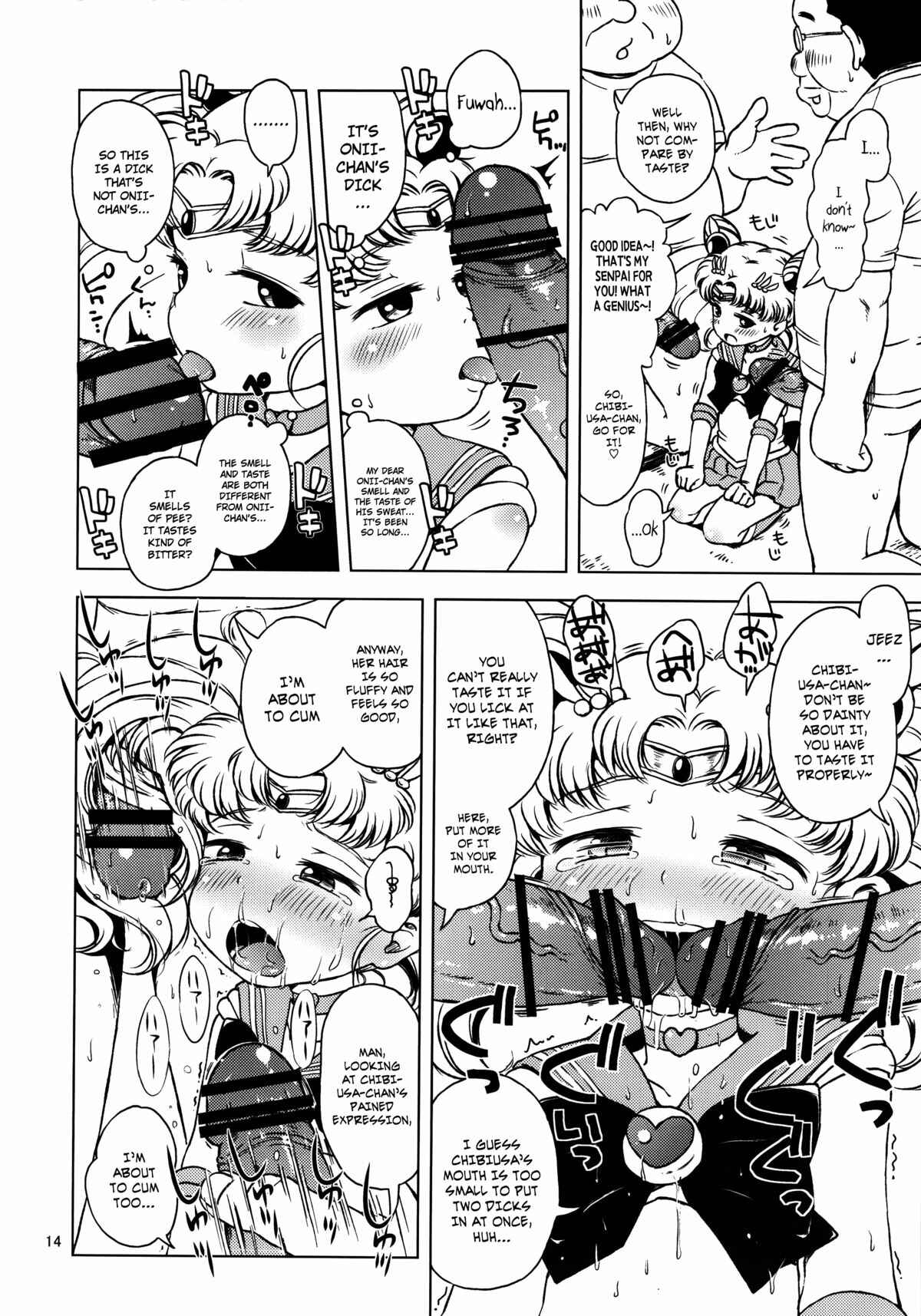 Page 14 Chapter Unknown_438a Bishoujo Senshi Sailor Moon - Chibiusa no Himitsu Diary (Doujinshi)