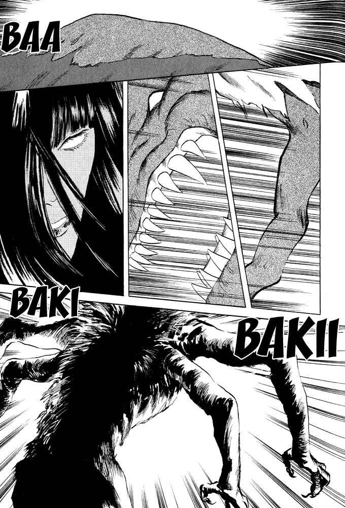 Page 11 Chapter 12 Animal X
