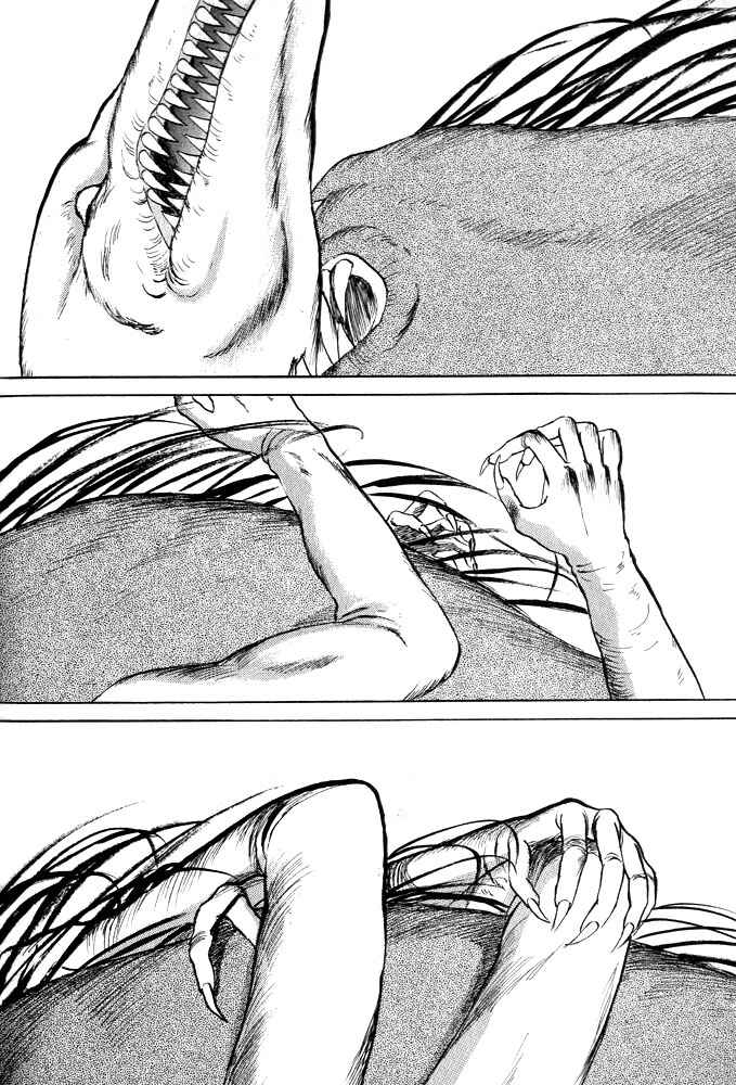 Page 16 Chapter 12 Animal X