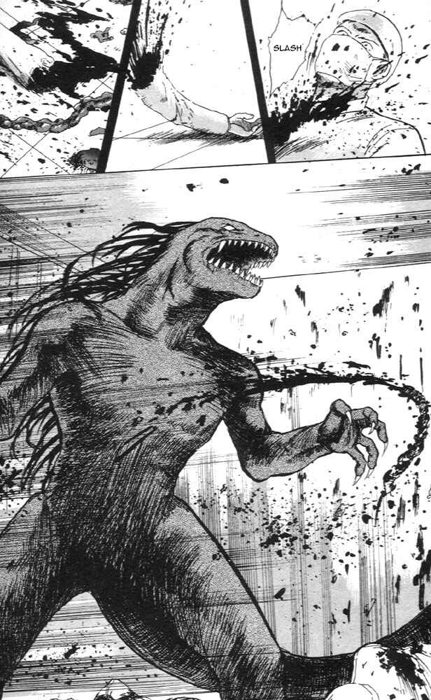Page 33 Chapter 7 Animal X