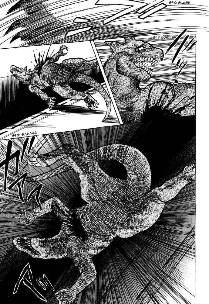 Page 43 Chapter 4 Animal X