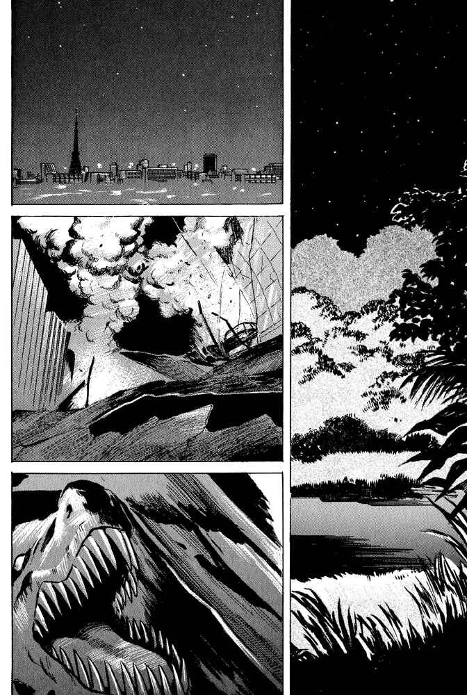 Page 78 Chapter 4 Animal X