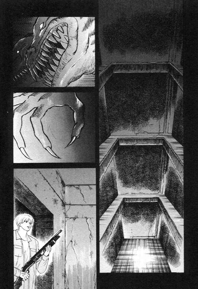 Page 33 Chapter 11 Animal X