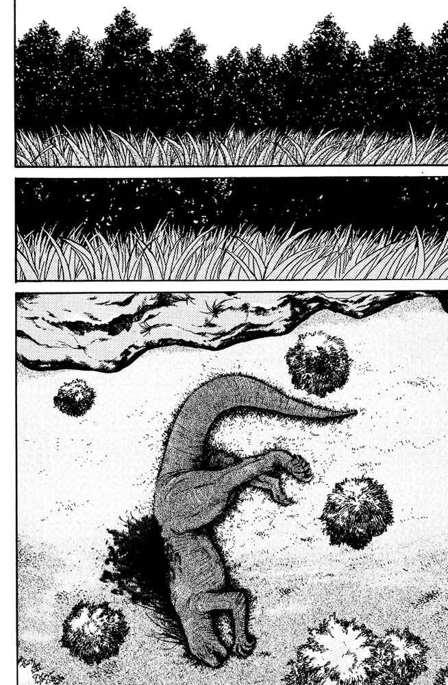 Page 15 Chapter 7 Animal X