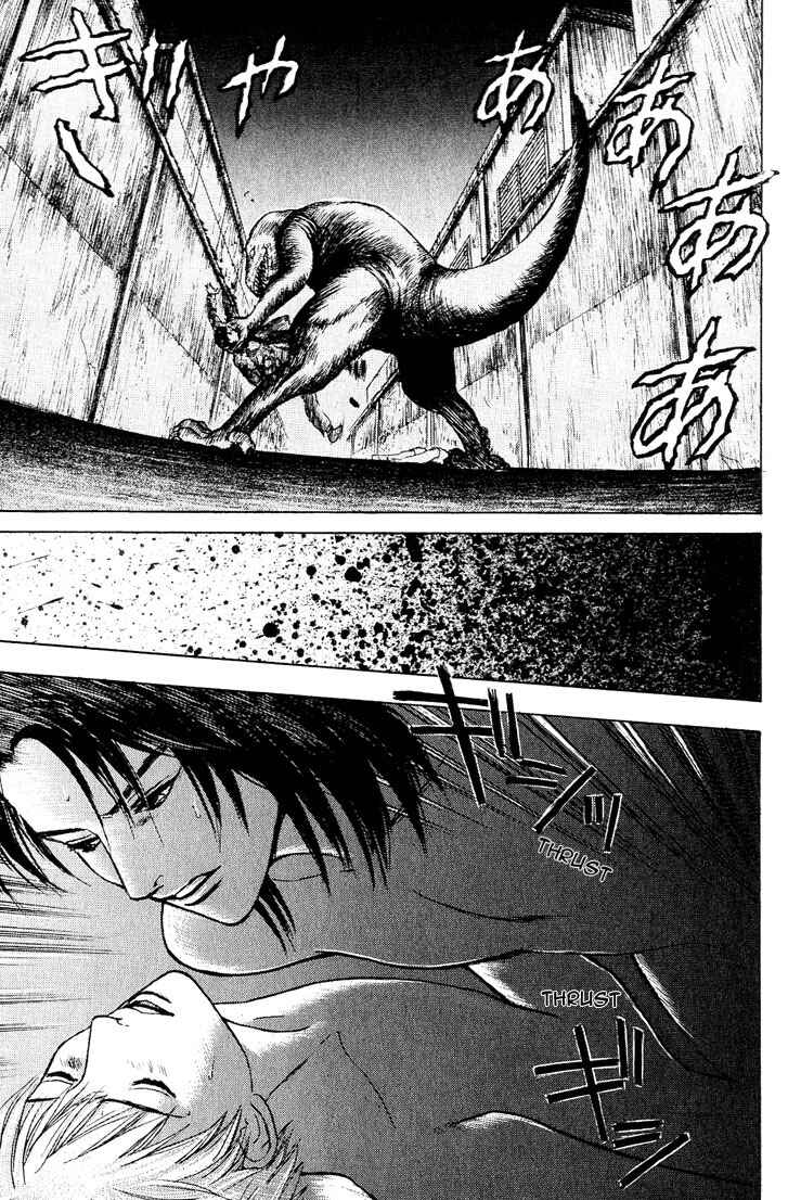 Page 35 Chapter 20 Animal X