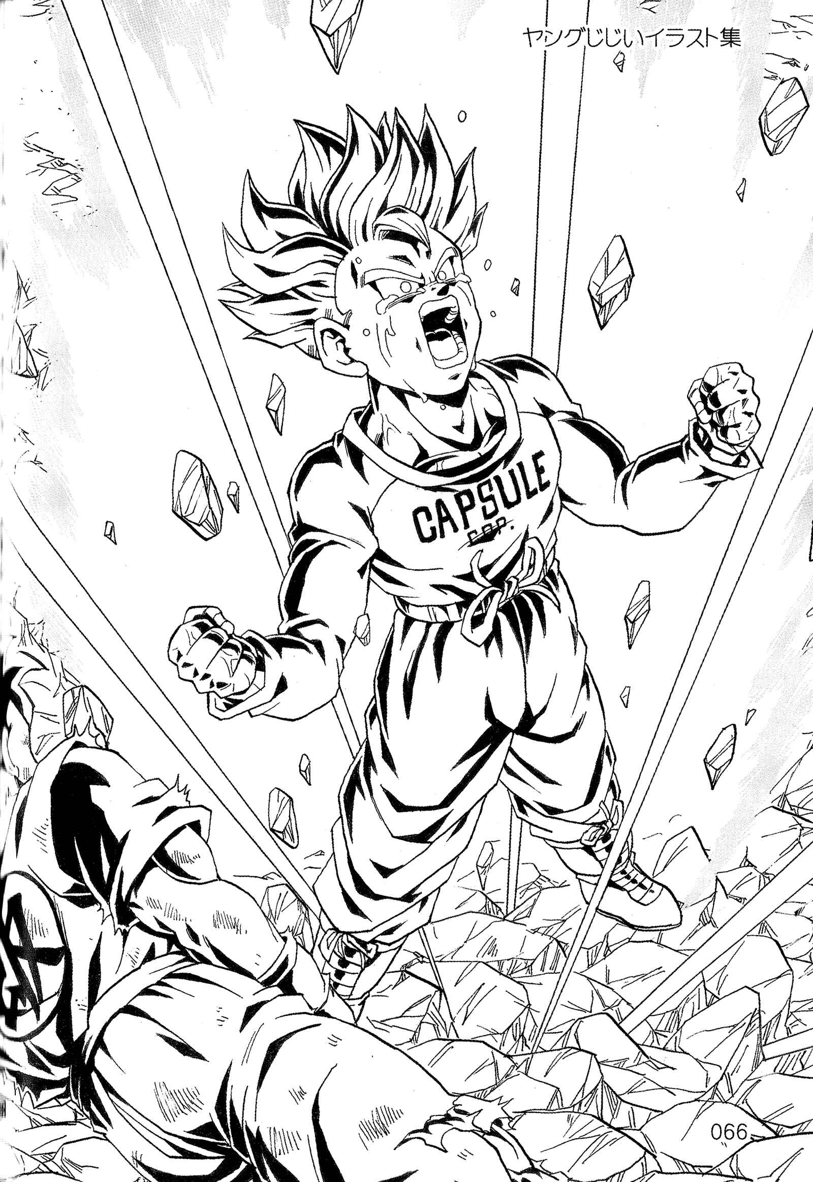 Page 69 Chapter Unknown_563d Dragon Ball - DBVS