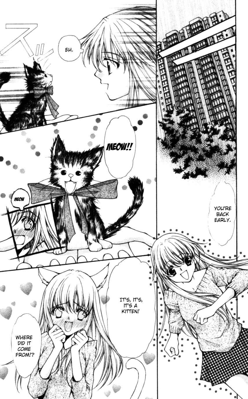 Page 15 Chapter 48 Despotic Lover