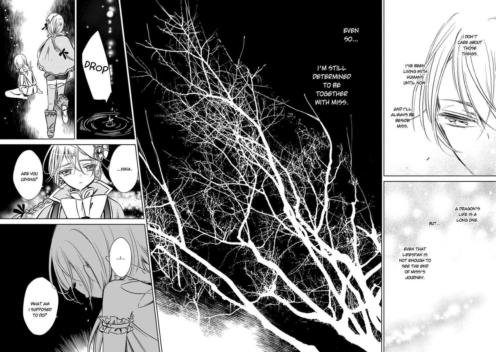 Page 34 Chapter 31 Majo no Shinzou