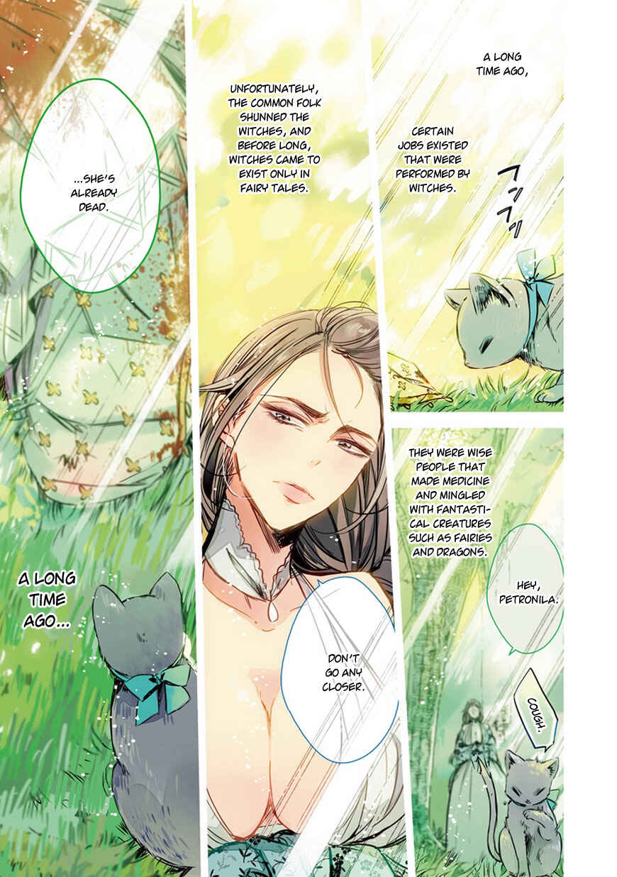 Page 4 Chapter 28 Majo no Shinzou