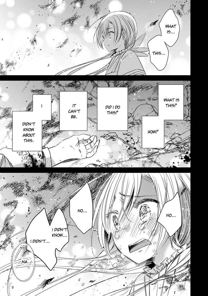 Page 17 Chapter 41 Majo no Shinzou