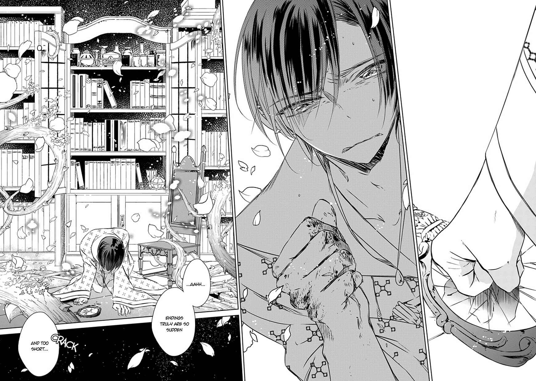 Page 10 Chapter 21 Majo no Shinzou