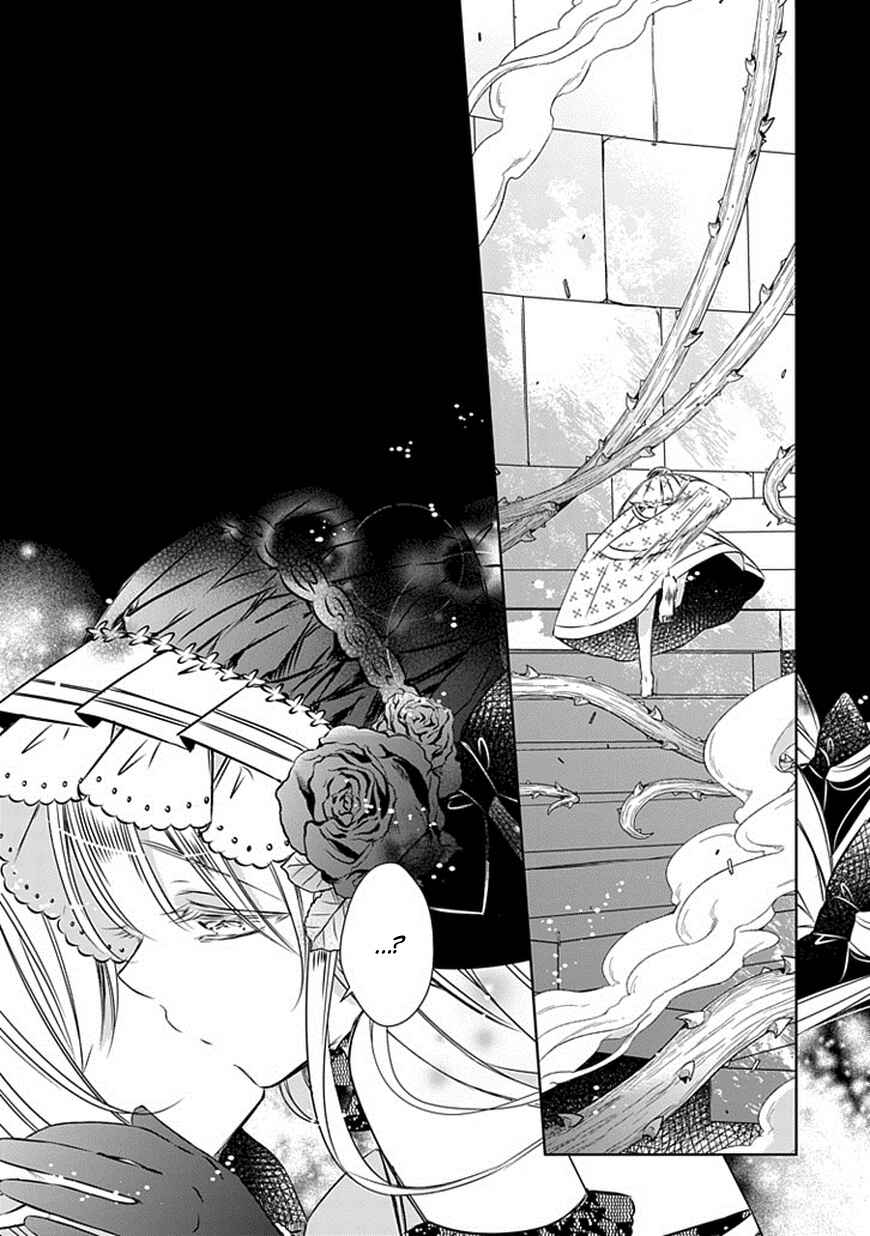 Page 3 Chapter 21 Majo no Shinzou