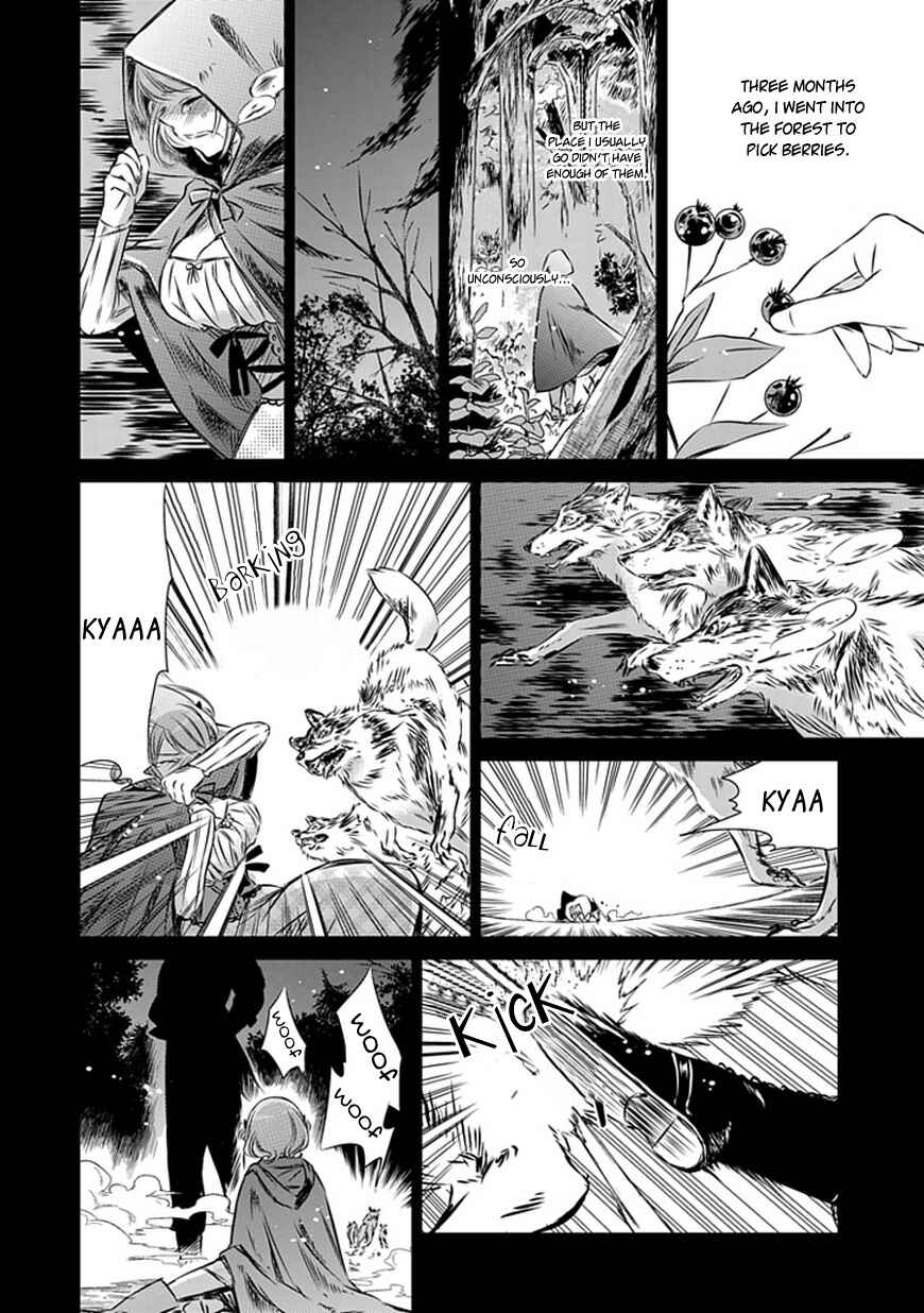 Page 10 Chapter 9 Majo no Shinzou