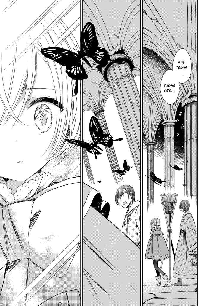 Page 25 Chapter 40 Majo no Shinzou