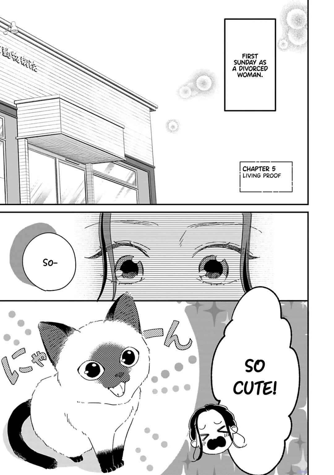 Page 2 Chapter 5 Since When Do Guys Find Divorcees Attractive?