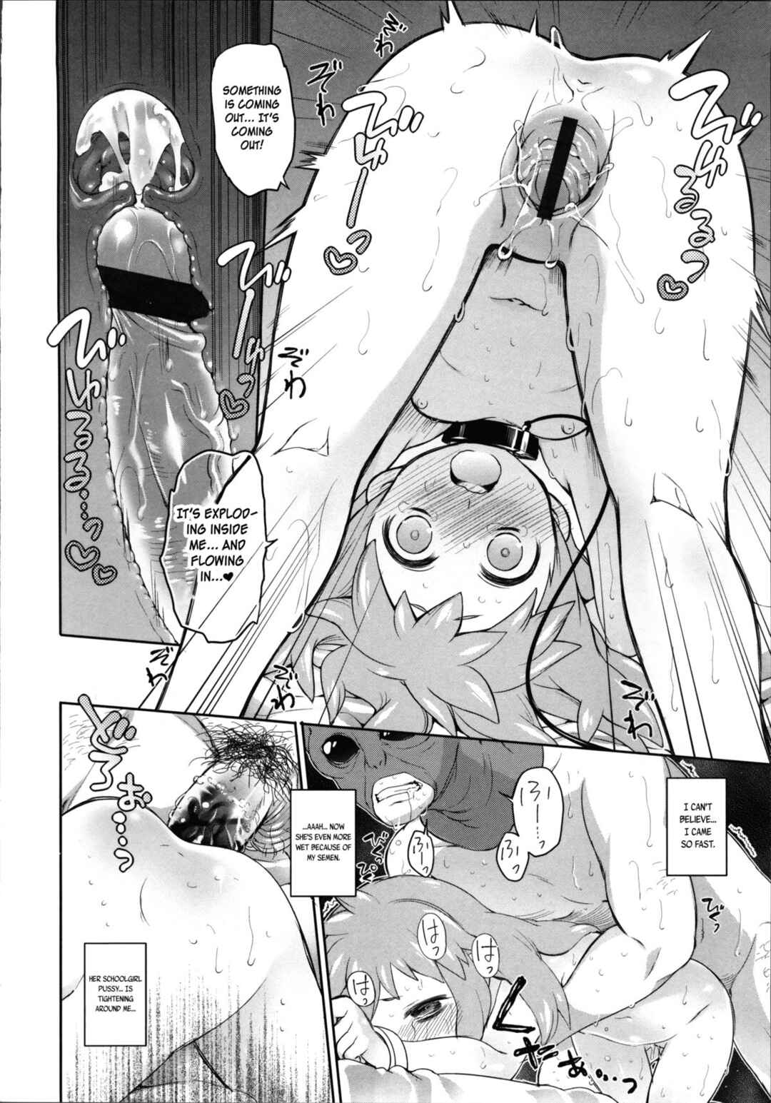 Page 16 Chapter 11 Garden