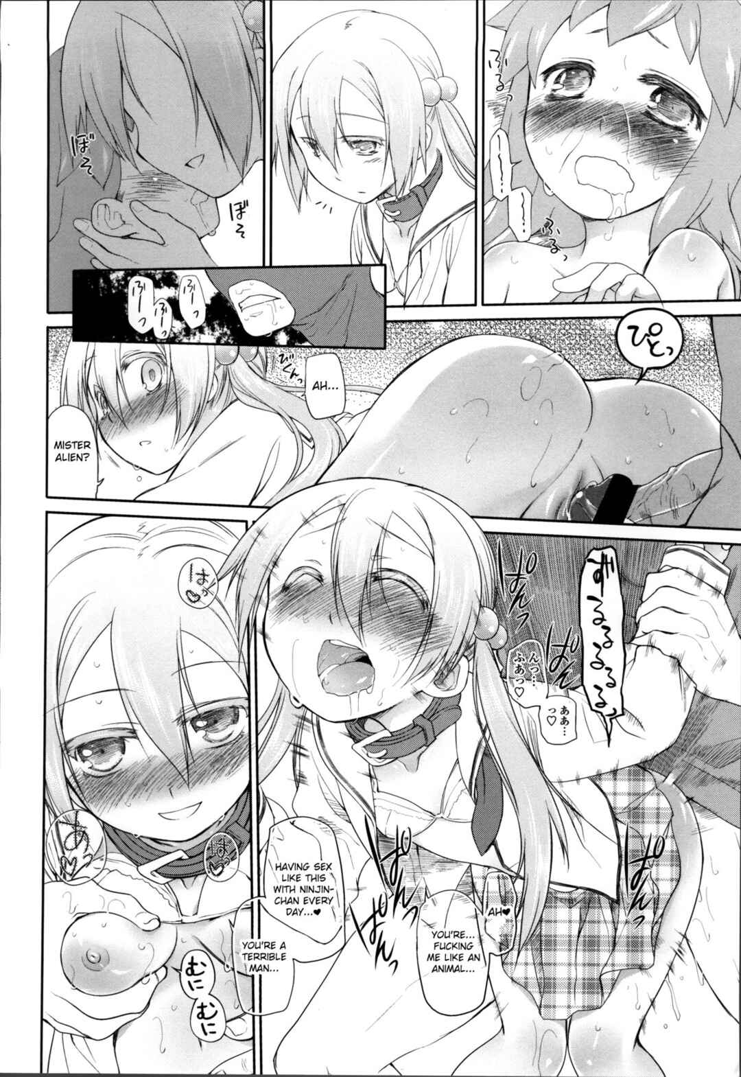 Page 28 Chapter 12 Garden