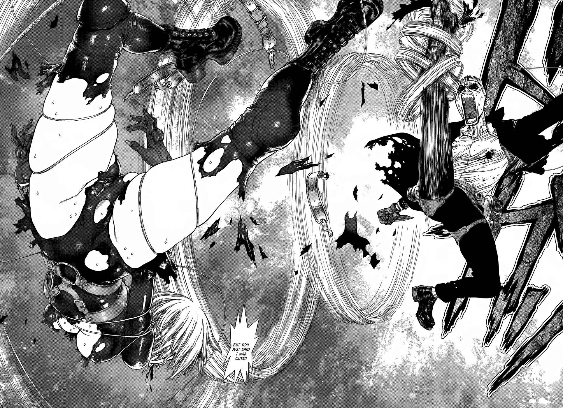 Page 15 Chapter 19 Wallman