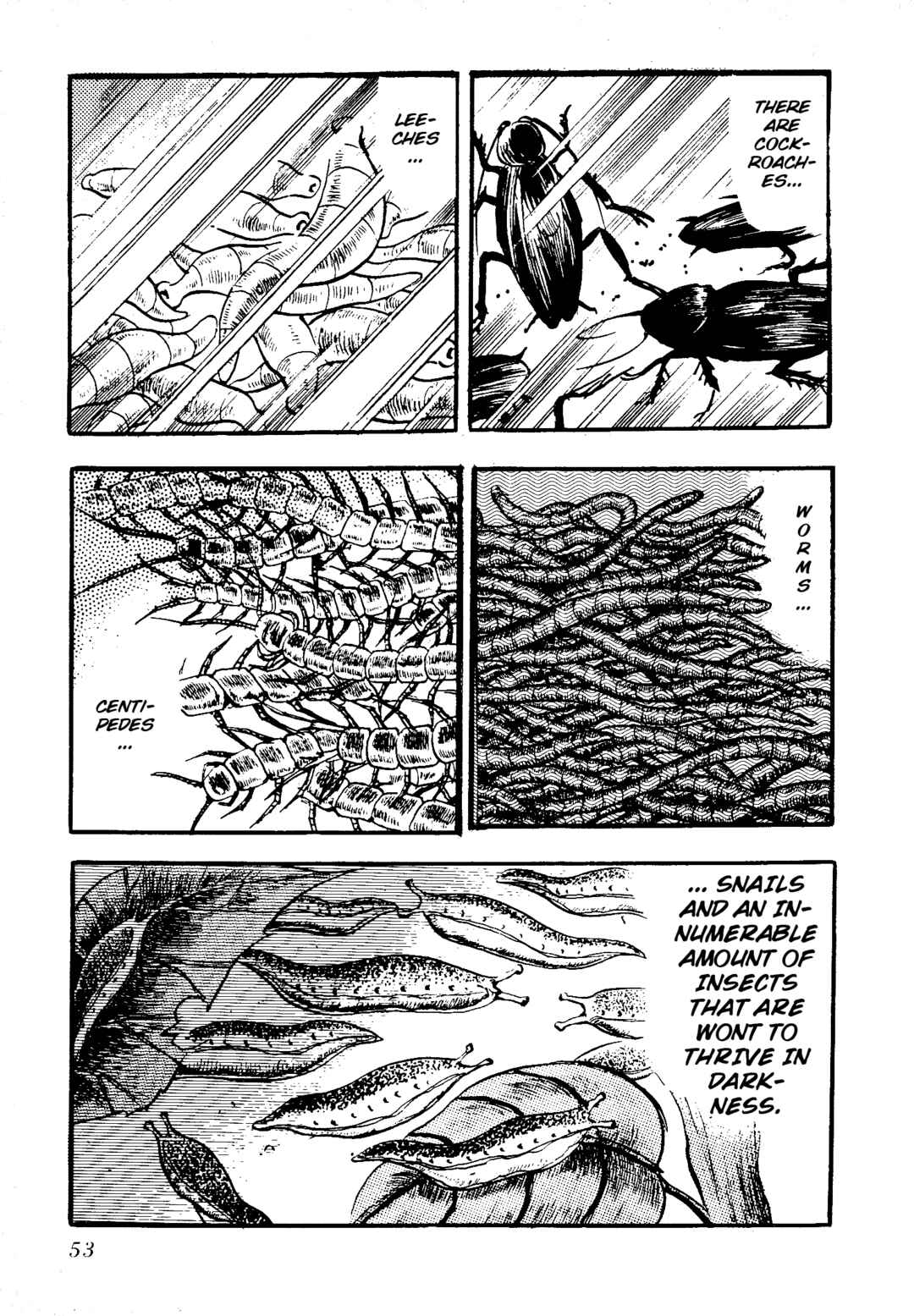 Page 6 Chapter 5 Insect Hell in the Basement