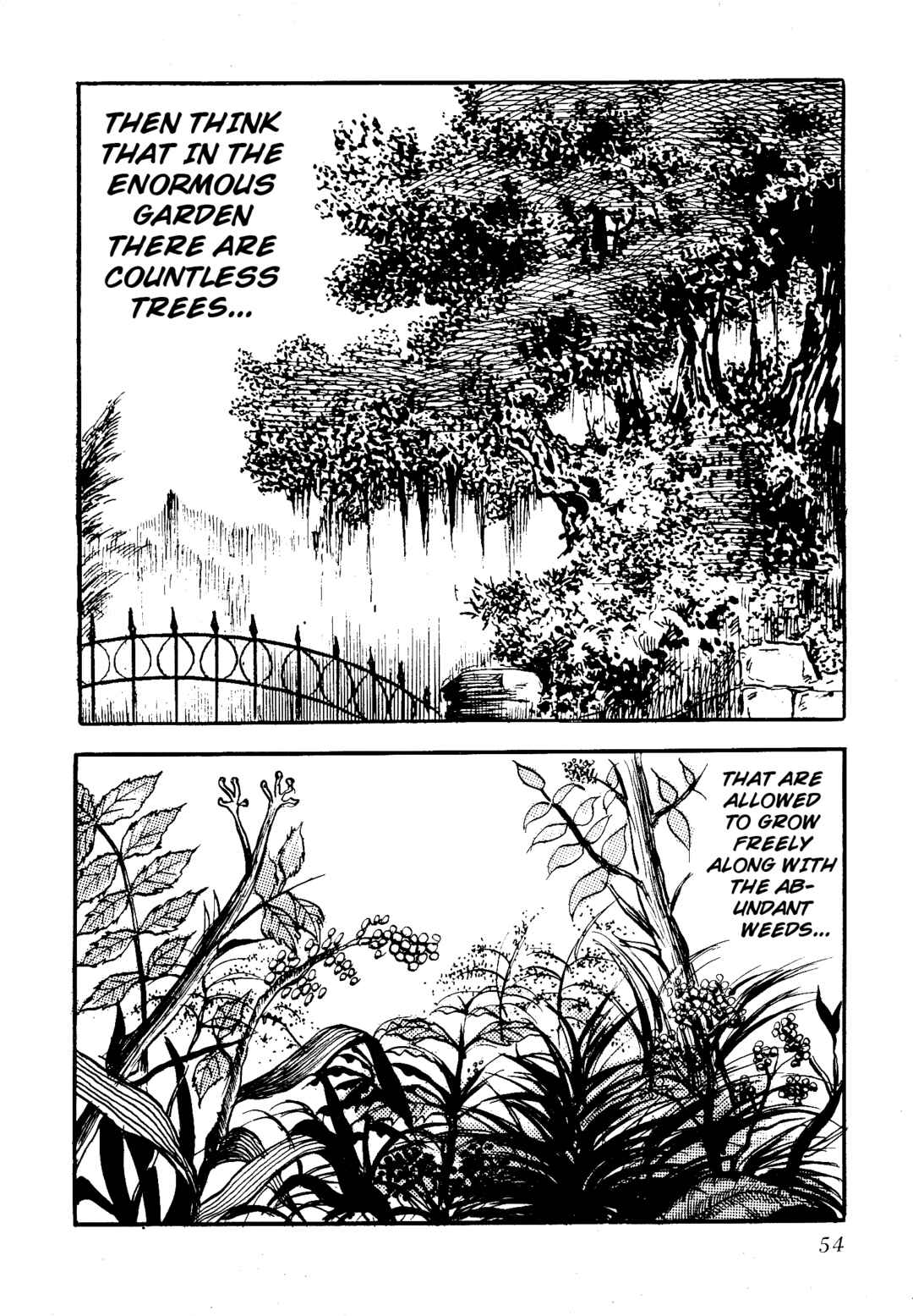 Page 7 Chapter 5 Insect Hell in the Basement