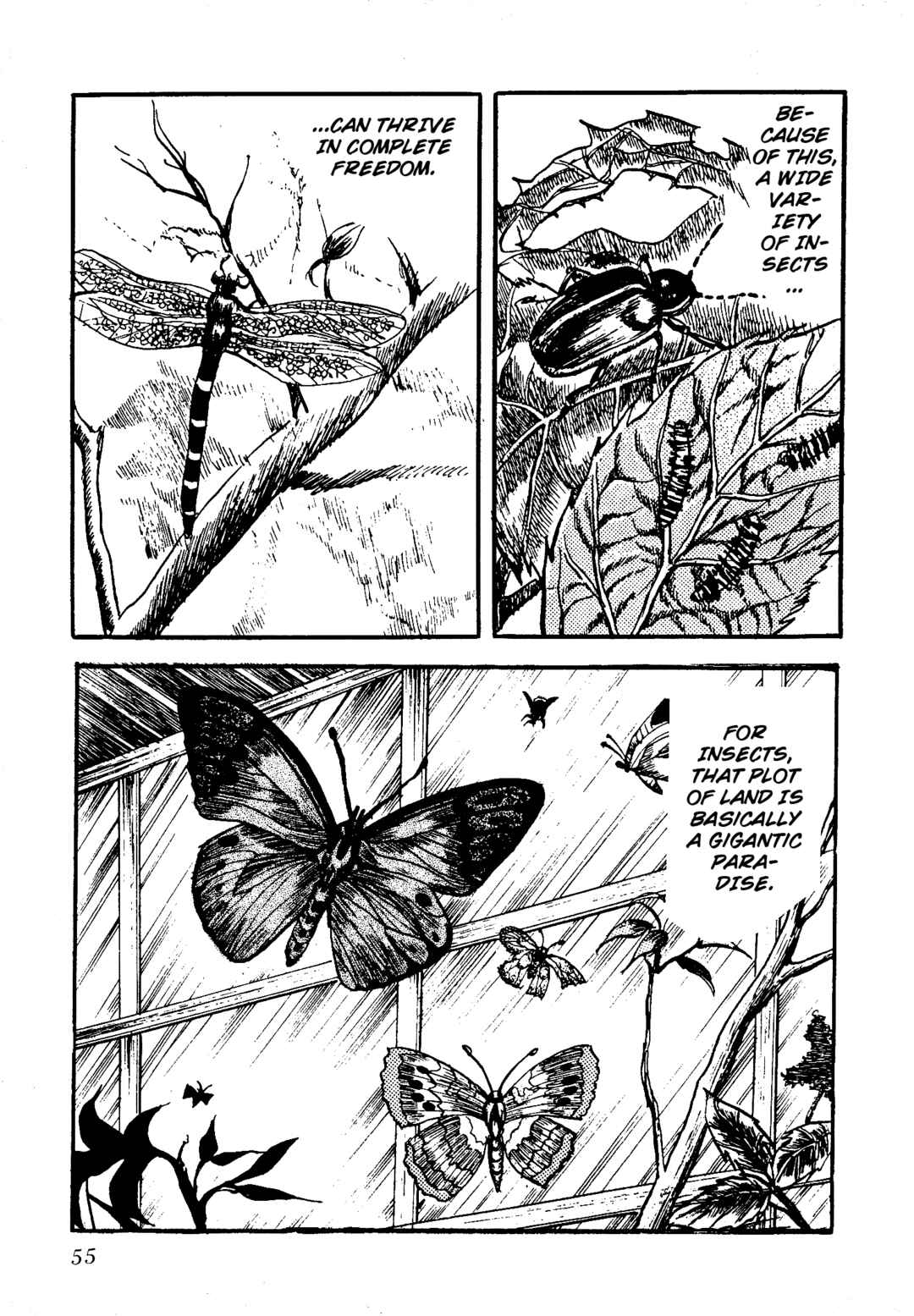 Page 8 Chapter 5 Insect Hell in the Basement