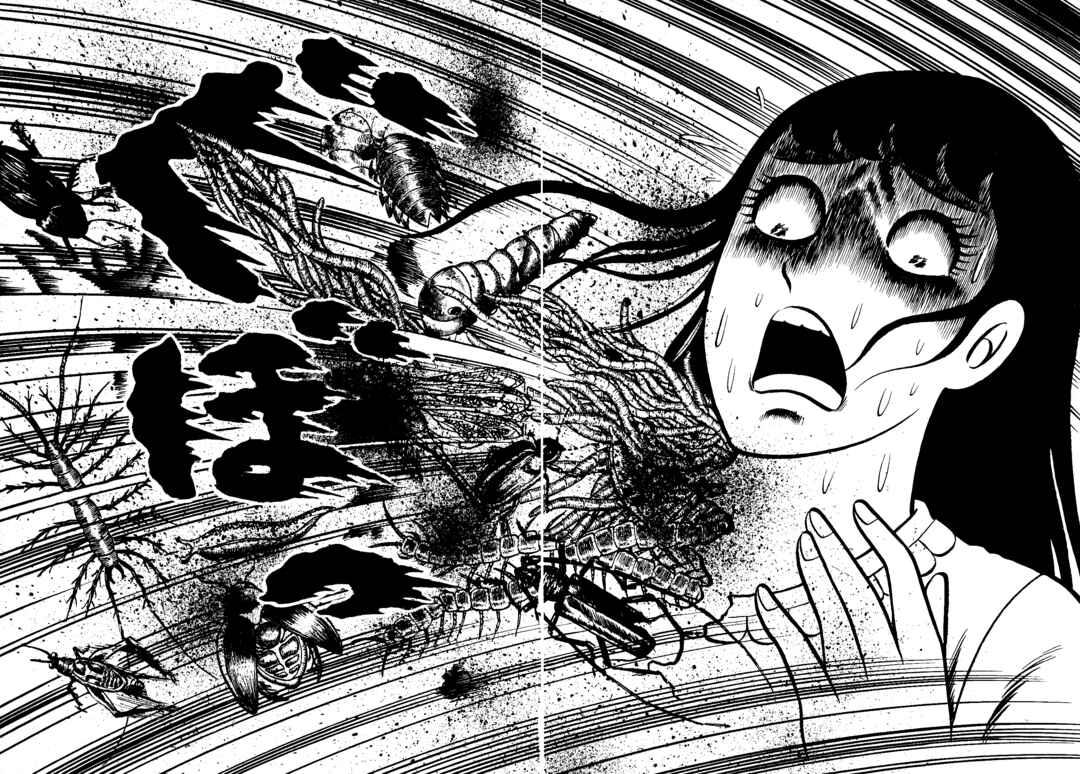 Page 12 Chapter 6 Insect Hell in the Basement