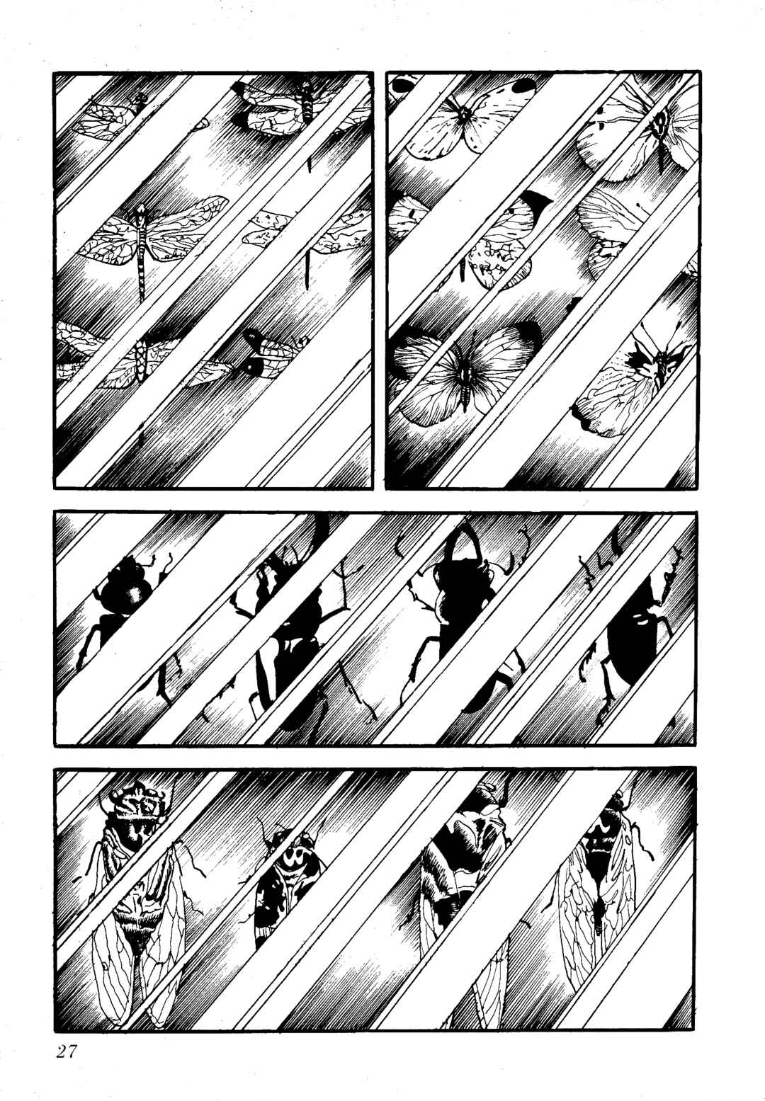 Page 4 Chapter 3 Insect Hell in the Basement