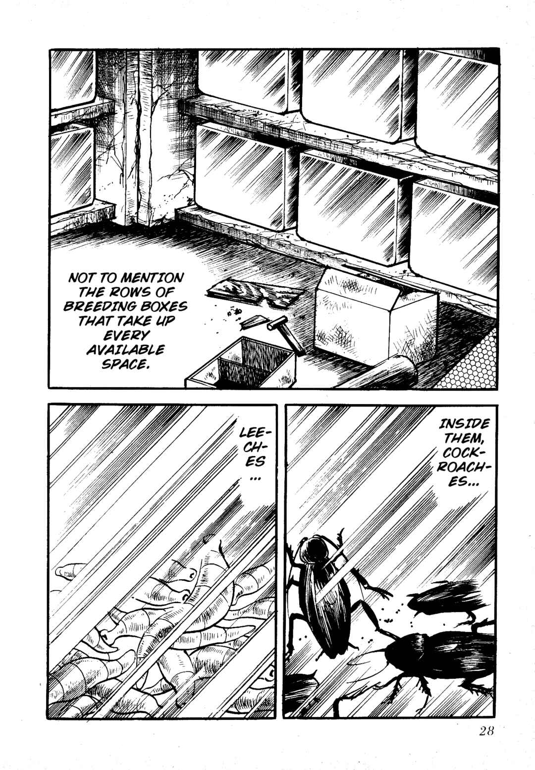 Page 5 Chapter 3 Insect Hell in the Basement