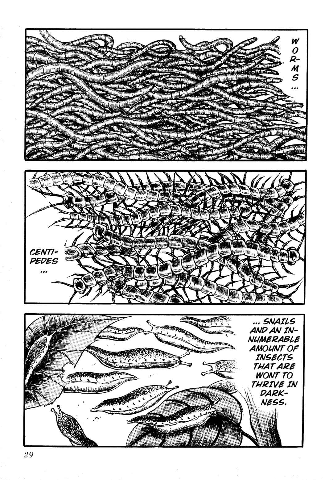 Page 6 Chapter 3 Insect Hell in the Basement