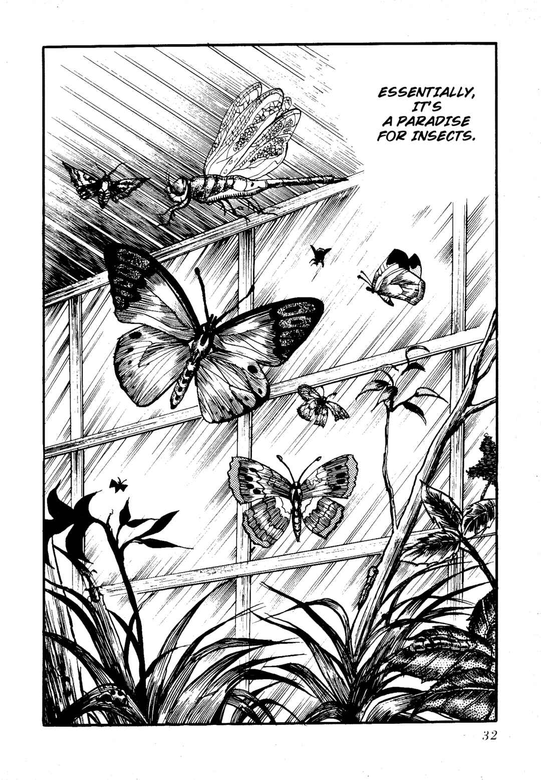 Page 8 Chapter 3 Insect Hell in the Basement