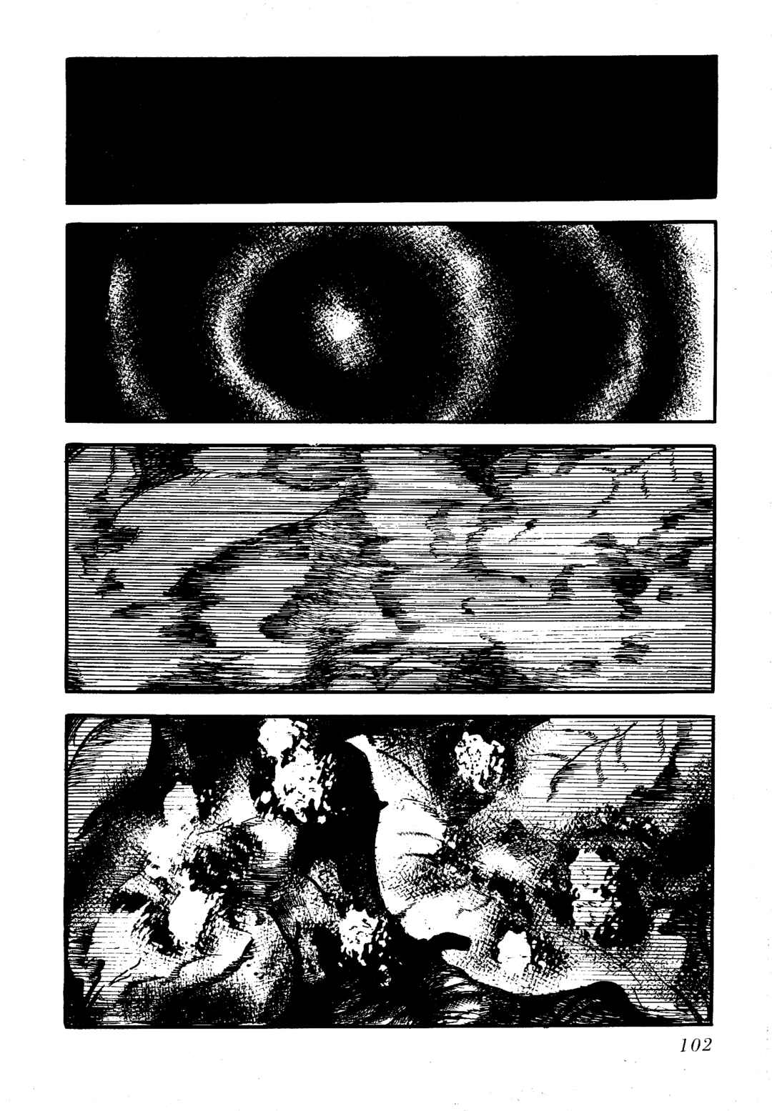 Page 19 Chapter 8 Insect Hell in the Basement