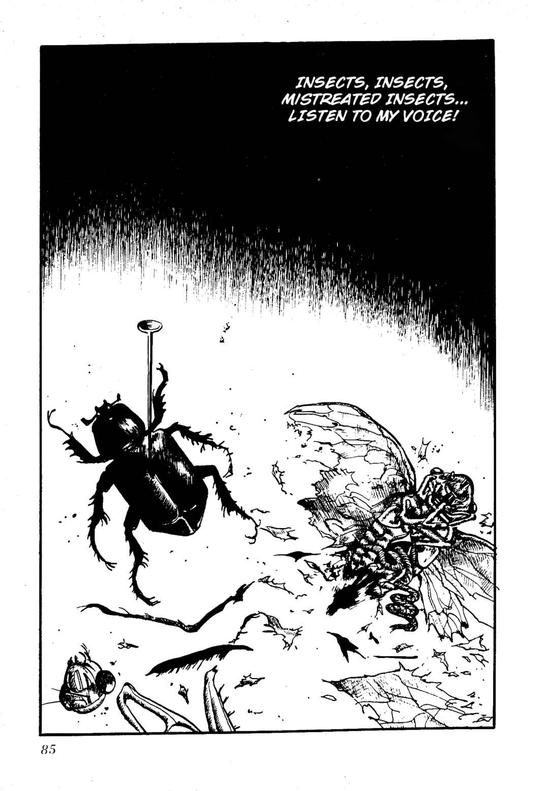 Page 2 Chapter 8 Insect Hell in the Basement