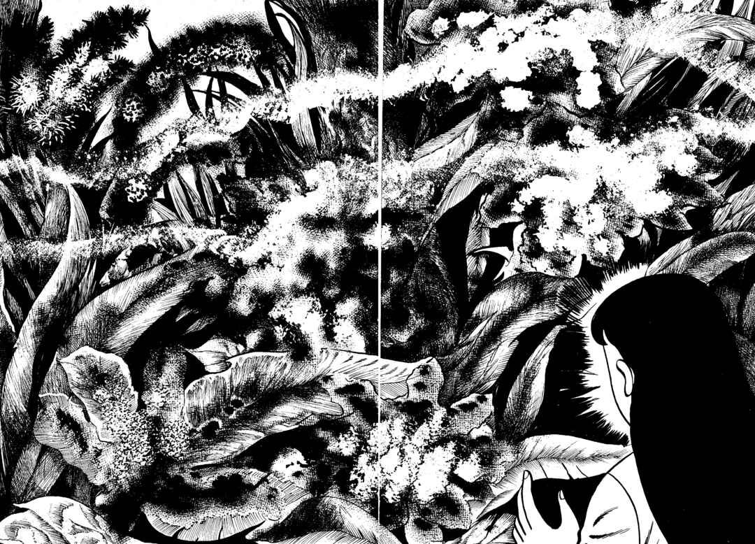 Page 21 Chapter 8 Insect Hell in the Basement