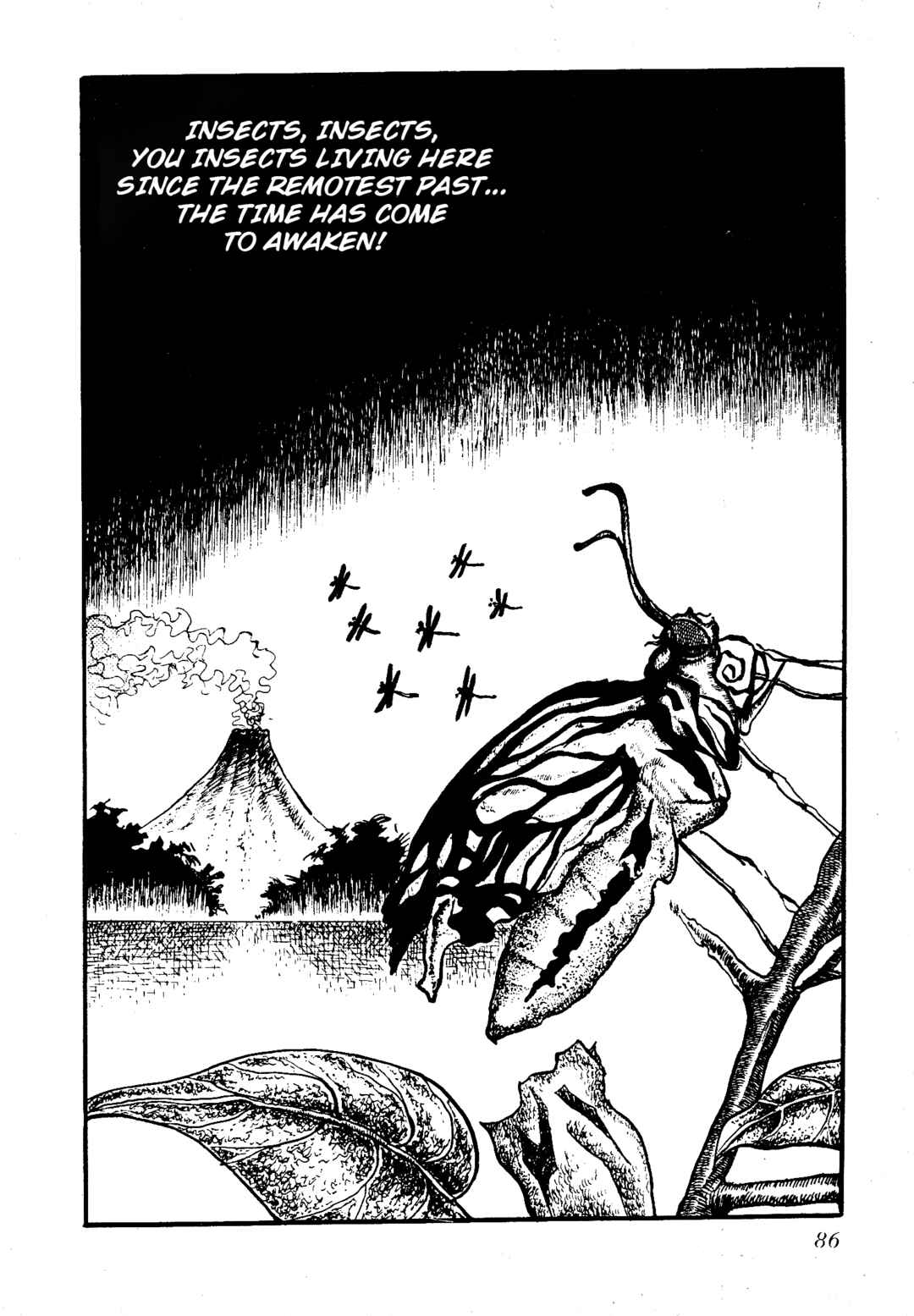 Page 3 Chapter 8 Insect Hell in the Basement