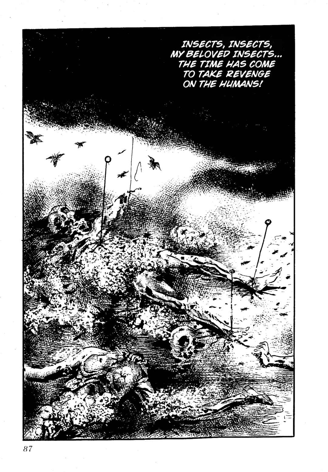 Page 4 Chapter 8 Insect Hell in the Basement
