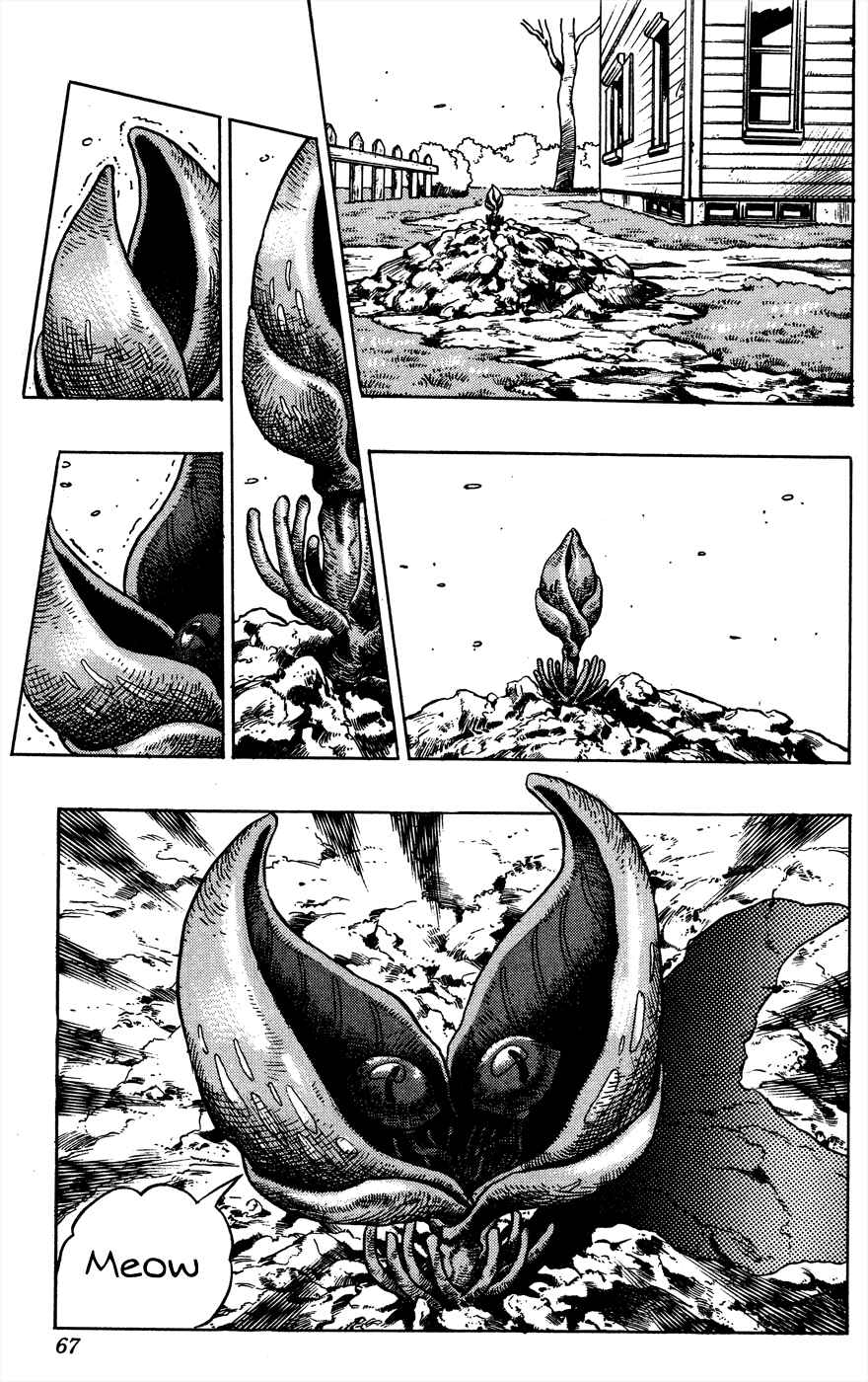 Page 19 Chapter 127 JoJos Bizarre Adventure Part 4 - Diamond is Unbreakable