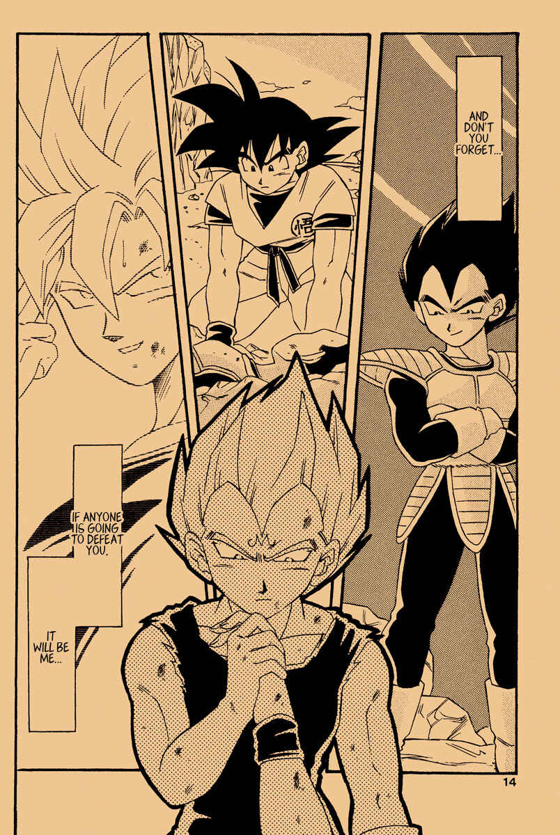 Page 13 Chapter Unknown_557a Dragon Ball - Die (Doujinshi)