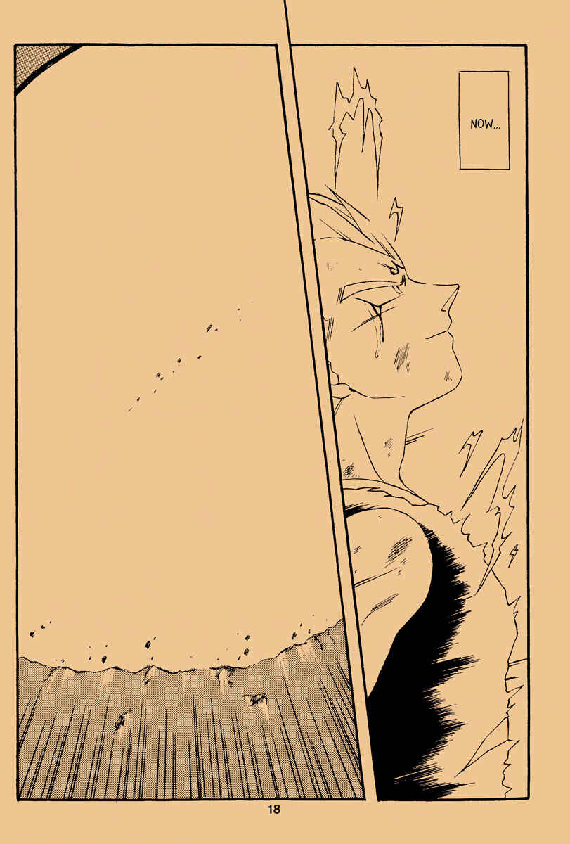 Page 17 Chapter Unknown_557a Dragon Ball - Die (Doujinshi)