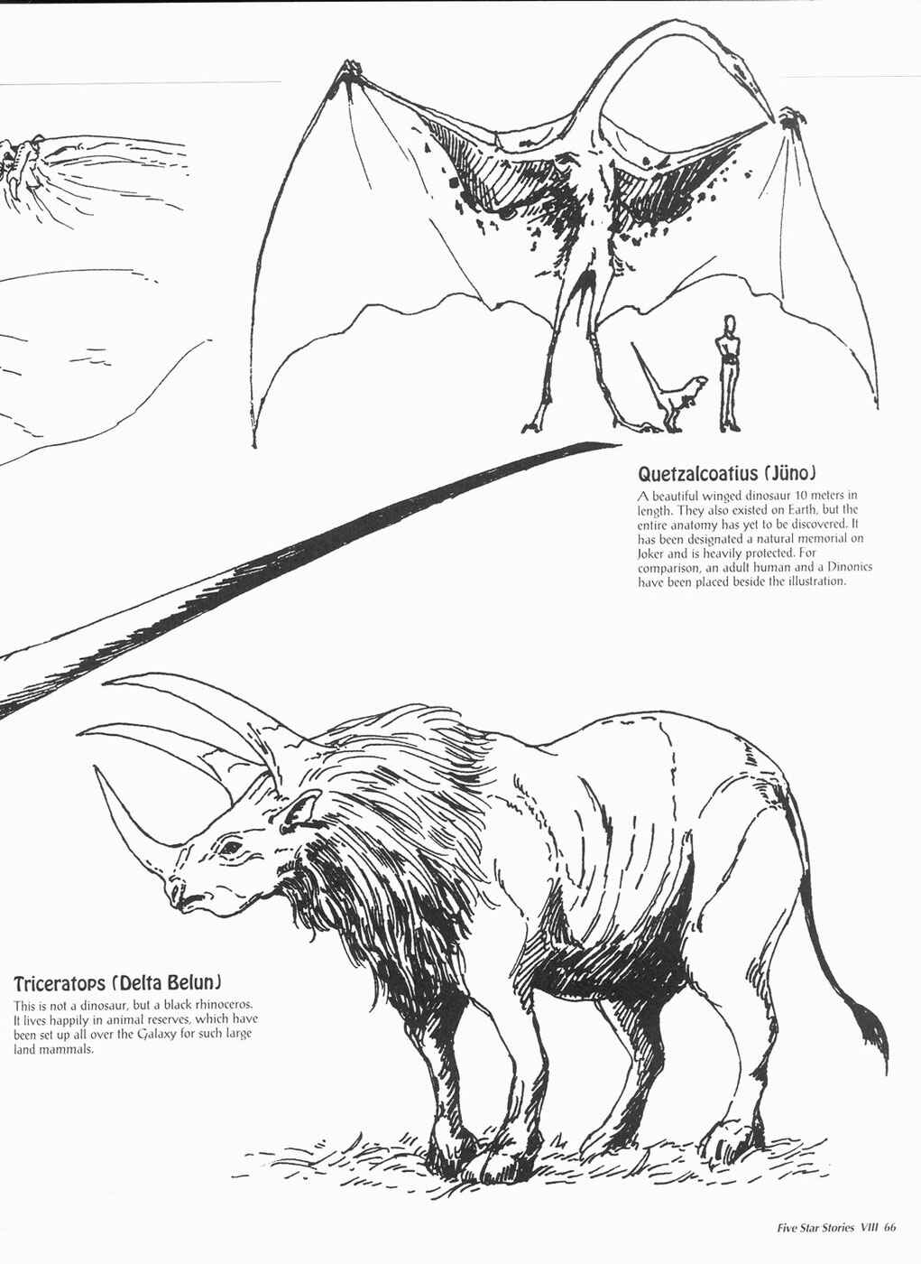 Page 67 Chapter 8 The Five Star Stories