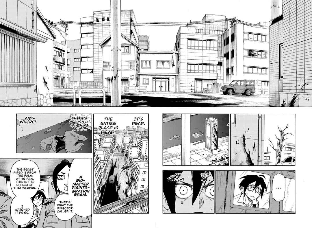 Page 13 Chapter 3 ZIGA
