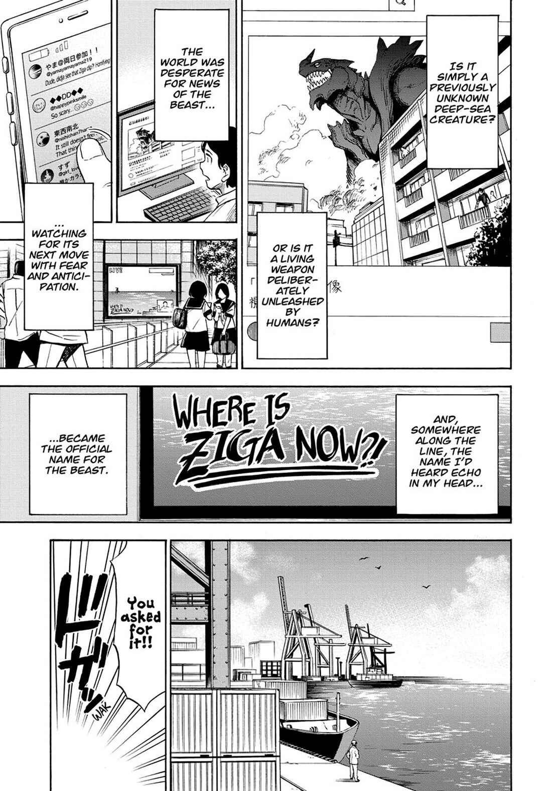 Page 19 Chapter 3 ZIGA