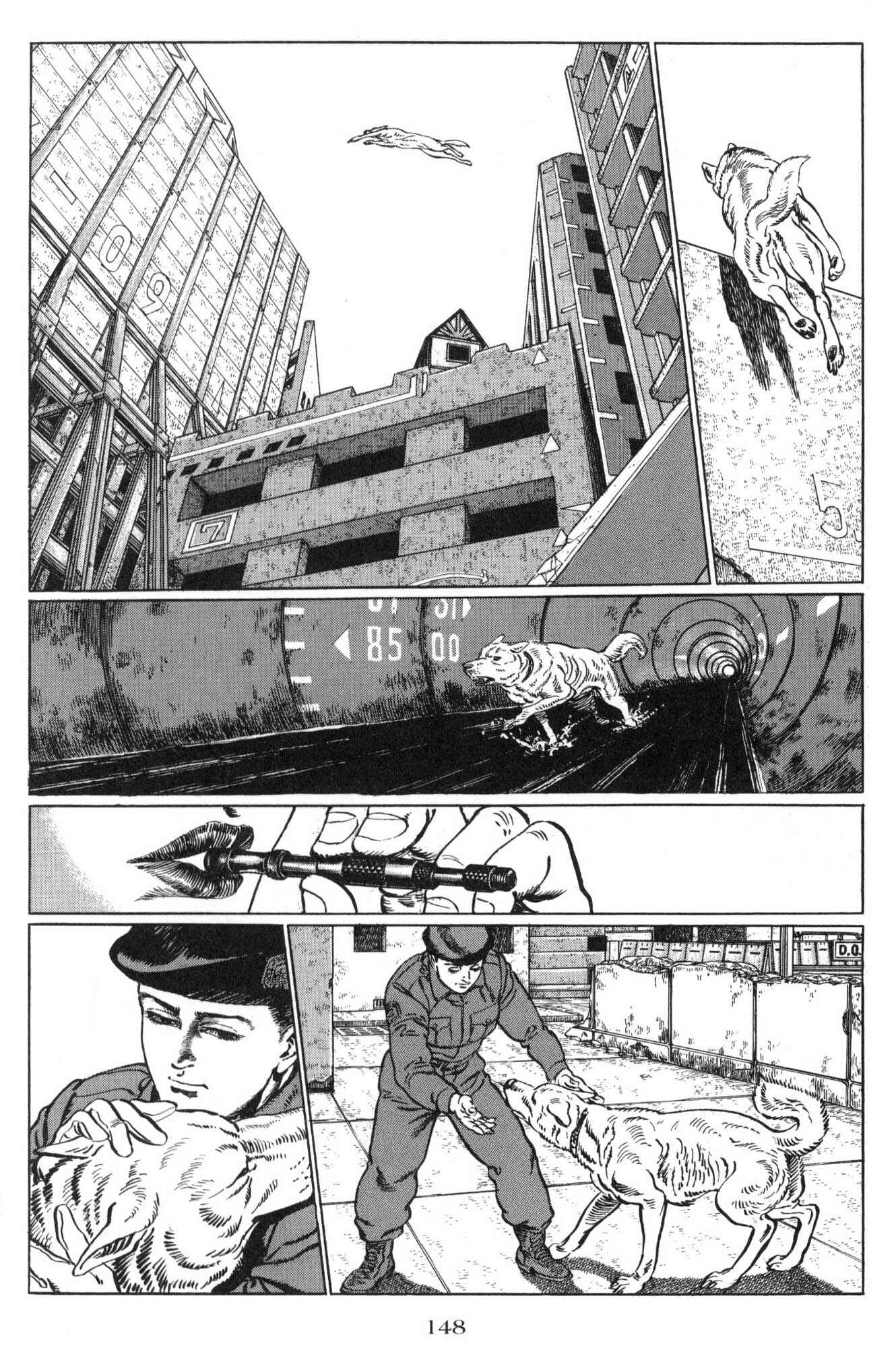 Page 6 Chapter 6 Blanca