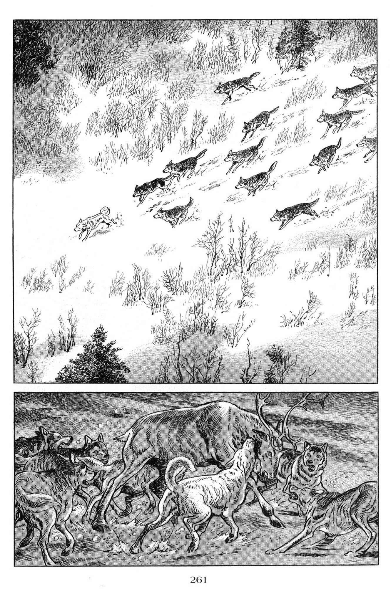 Page 19 Chapter 10 Blanca