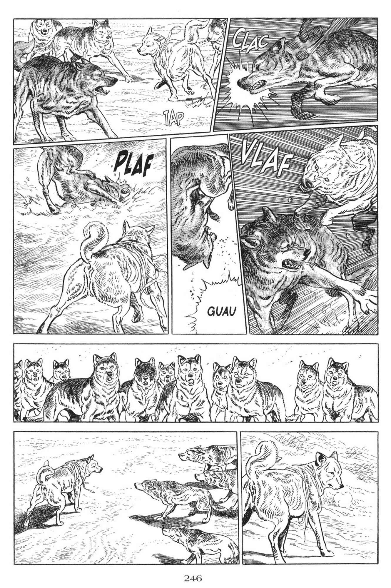 Page 4 Chapter 10 Blanca